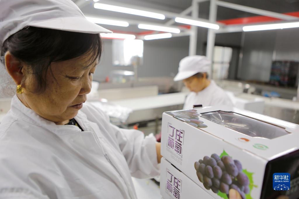 捕鱼游戏赚钱换人民币